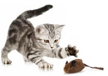 Load image into Gallery viewer, Play-N-Squeak Brown MouseHunter Cat Toy from Cat Supplies &amp; More